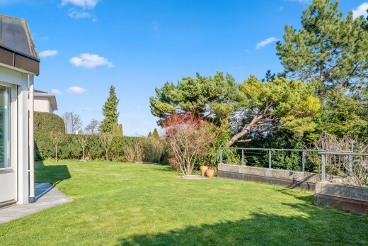 garten mit from property, rasen, zaun, und day time