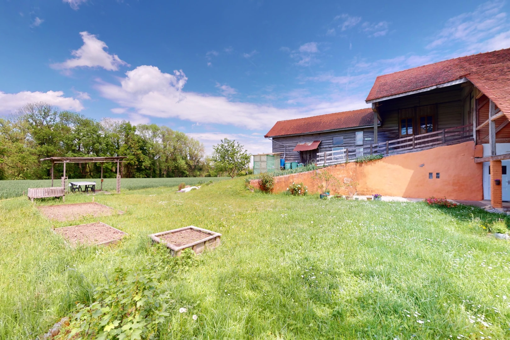 garten mit rasen