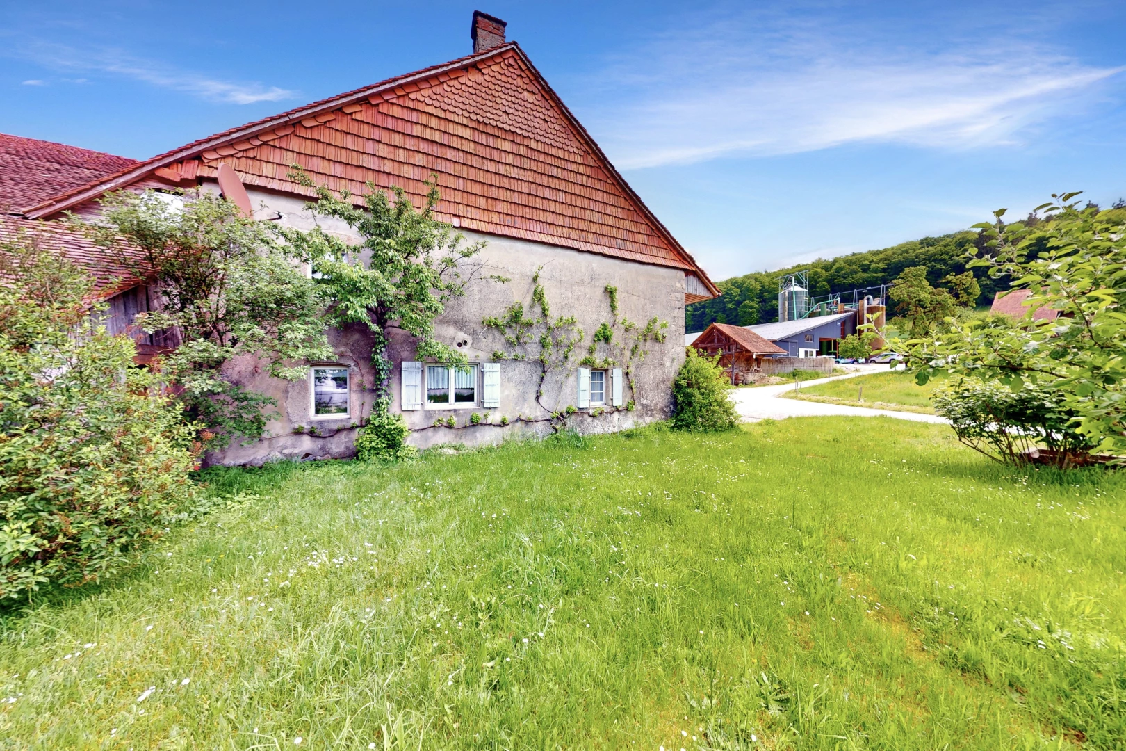 garten mit rasen