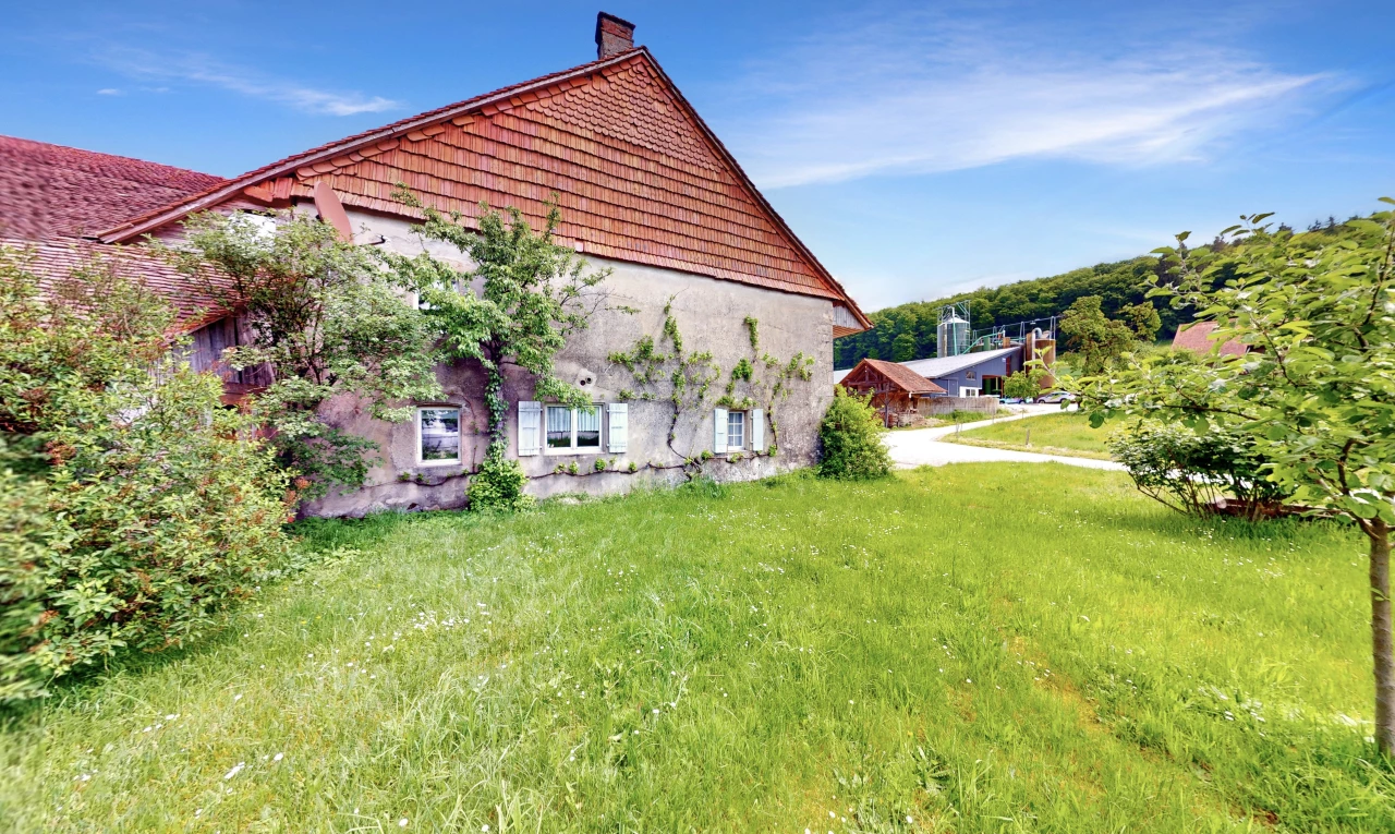 garten mit rasen