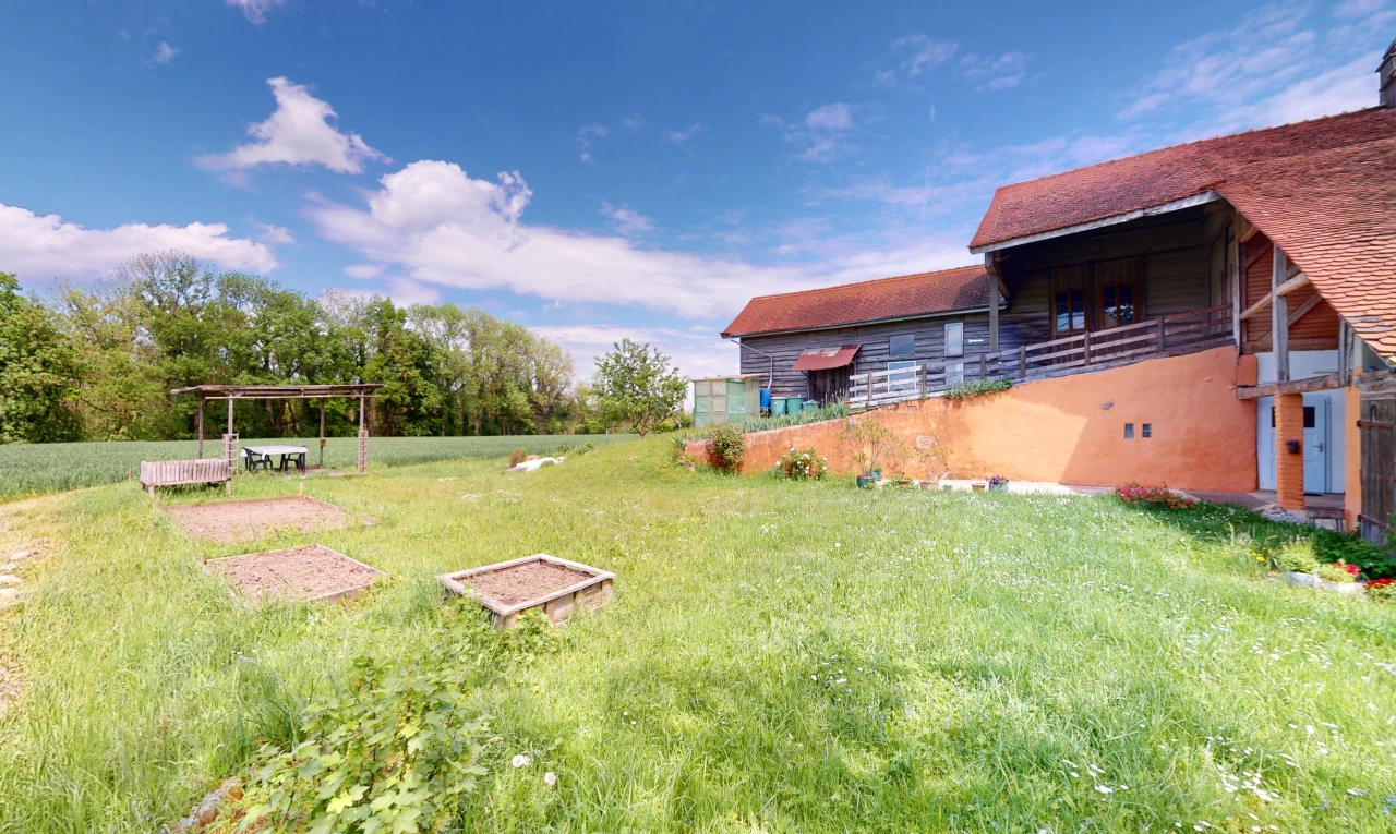 garten mit rasen