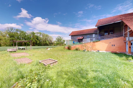 garten mit rasen
