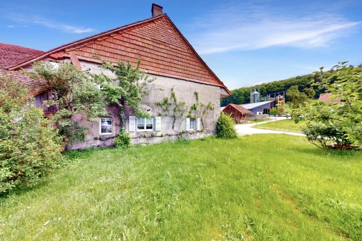 garten mit rasen