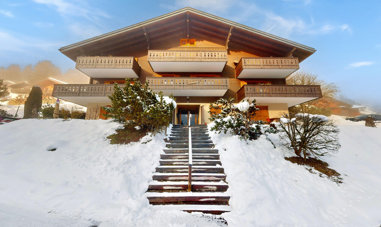 außenansicht mit snow und treppen