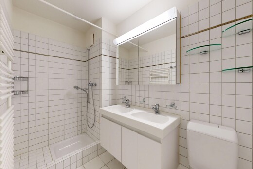bad mit fliesenwand, tile wall, toilette, inside property, und doppelwaschtisch