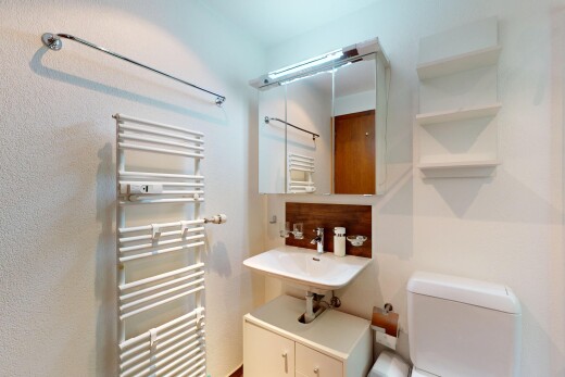 salle de bains avec radiateur, chauffe-serviettes, toilette, inside property, et miroir