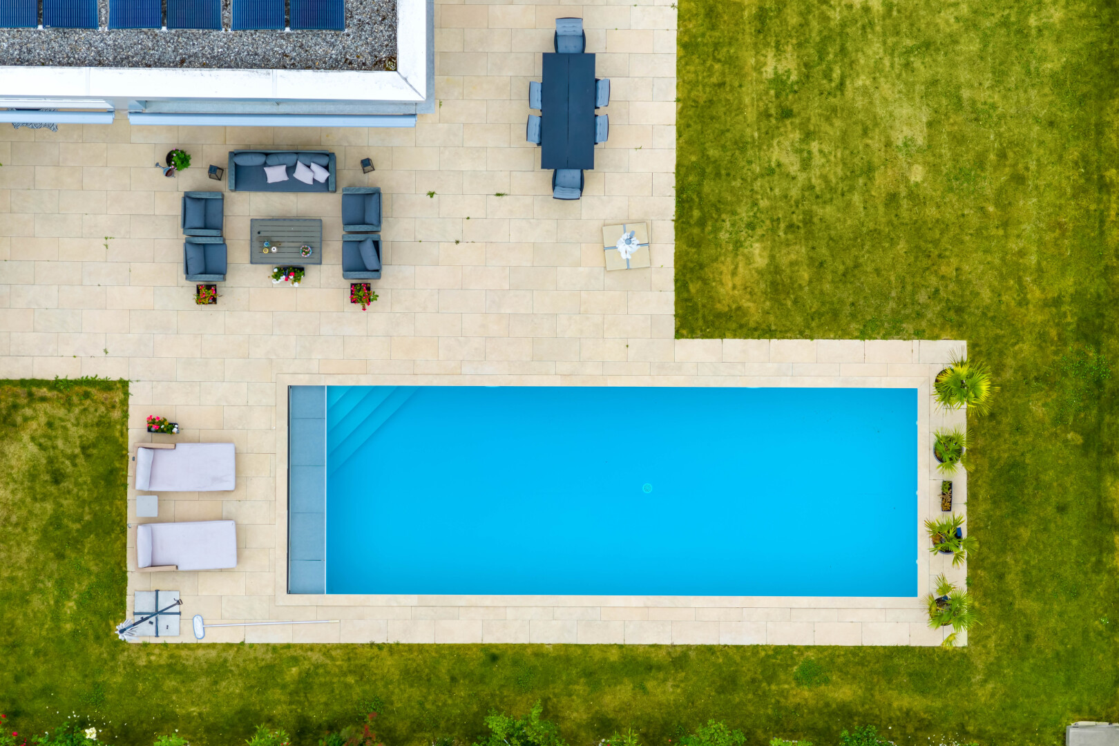 piscine avec pelouse