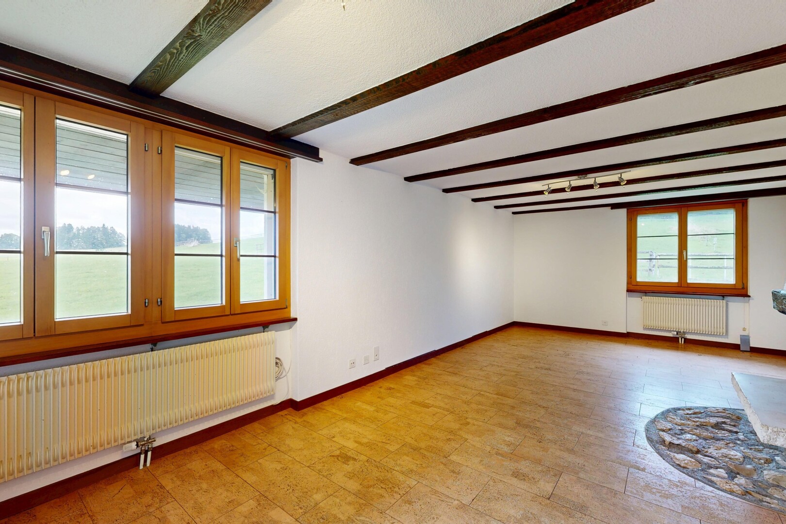 pièce vide avec radiateur, inside property, cloison sèche, drywall, et lumière naturelle