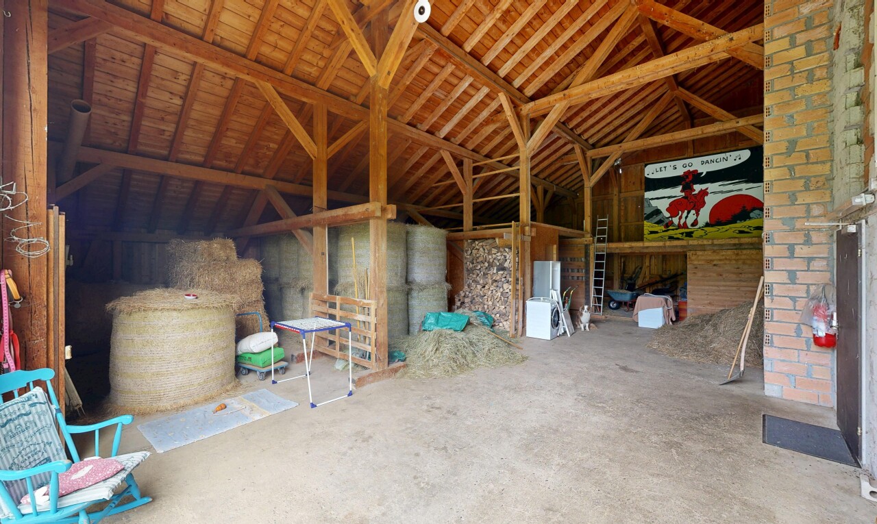 espace intérieur avec écurie et animal
