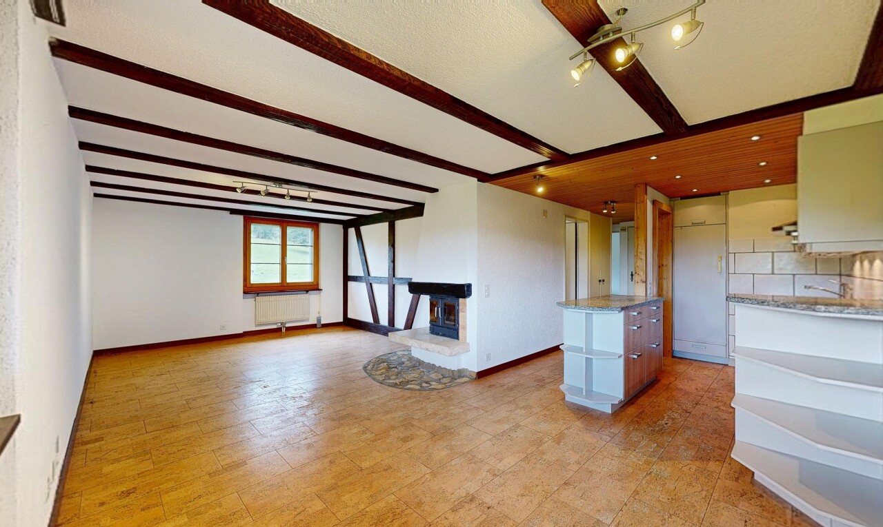 pièce vide avec lumière naturelle, natural light, cheminée, inside property, et cloison sèche