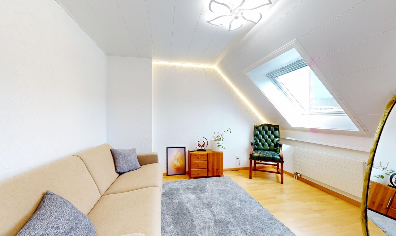 wohnzimmer mit holzfußboden, wood finish floor, dachfenster, natürliches licht, und natural light