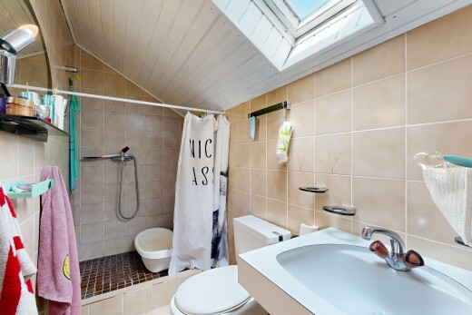 salle de bains avec douche, toilette, plafond voûté, vaulted ceiling, et puits de lumière