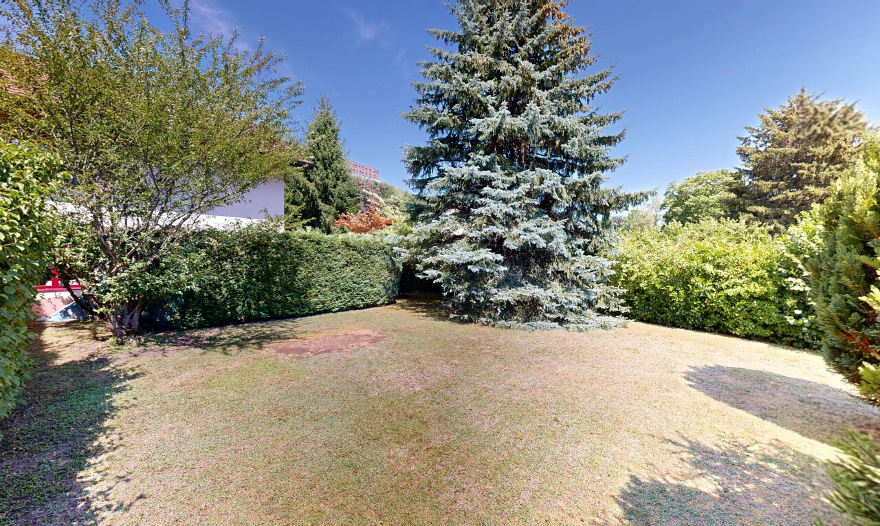 garden with a yard