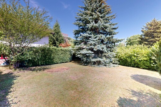 jardin avec day time et pelouse