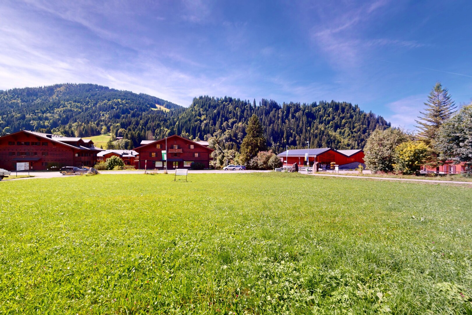 view of mountain background with a forest