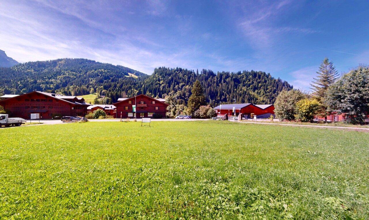 view of mountain background with a forest