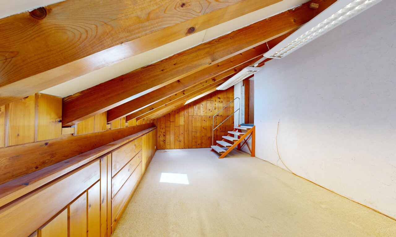 leerer raum mit carpet, teppich, inside property, treppen, und drywall