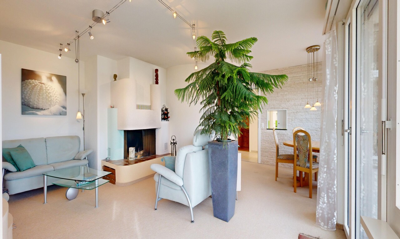 salon avec moquette, carpet, cheminée, cloison sèche, et drywall