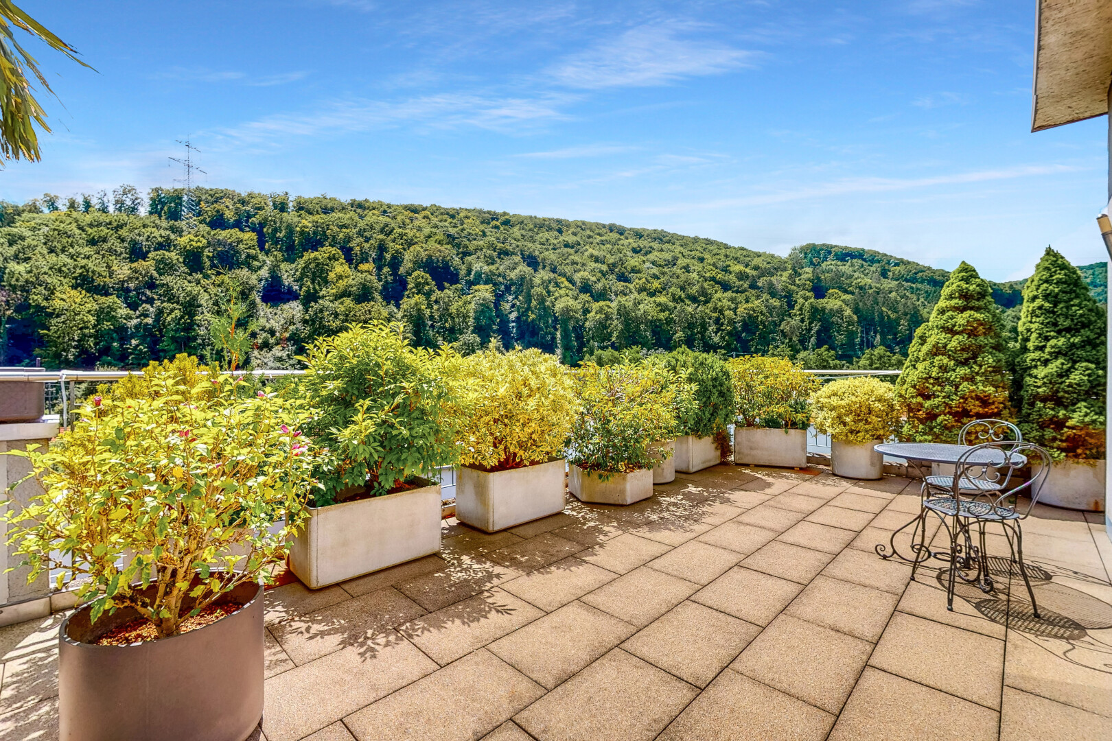 terrasse avec from property, vue sur la forêt, forest view, day time, et terrasse