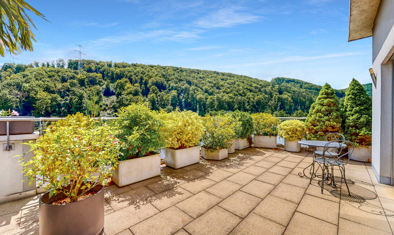 terrasse avec from property, vue sur la forêt, forest view, day time, et terrasse