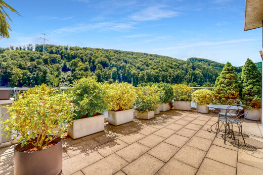 terrasse mit from property, waldblick, forest view, day time, und terrasse