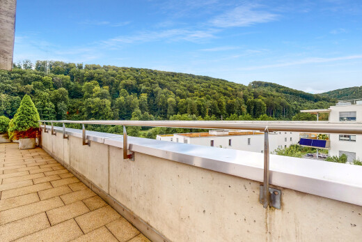 balkon mit waldblick, forest view, day time, balkon, und from property