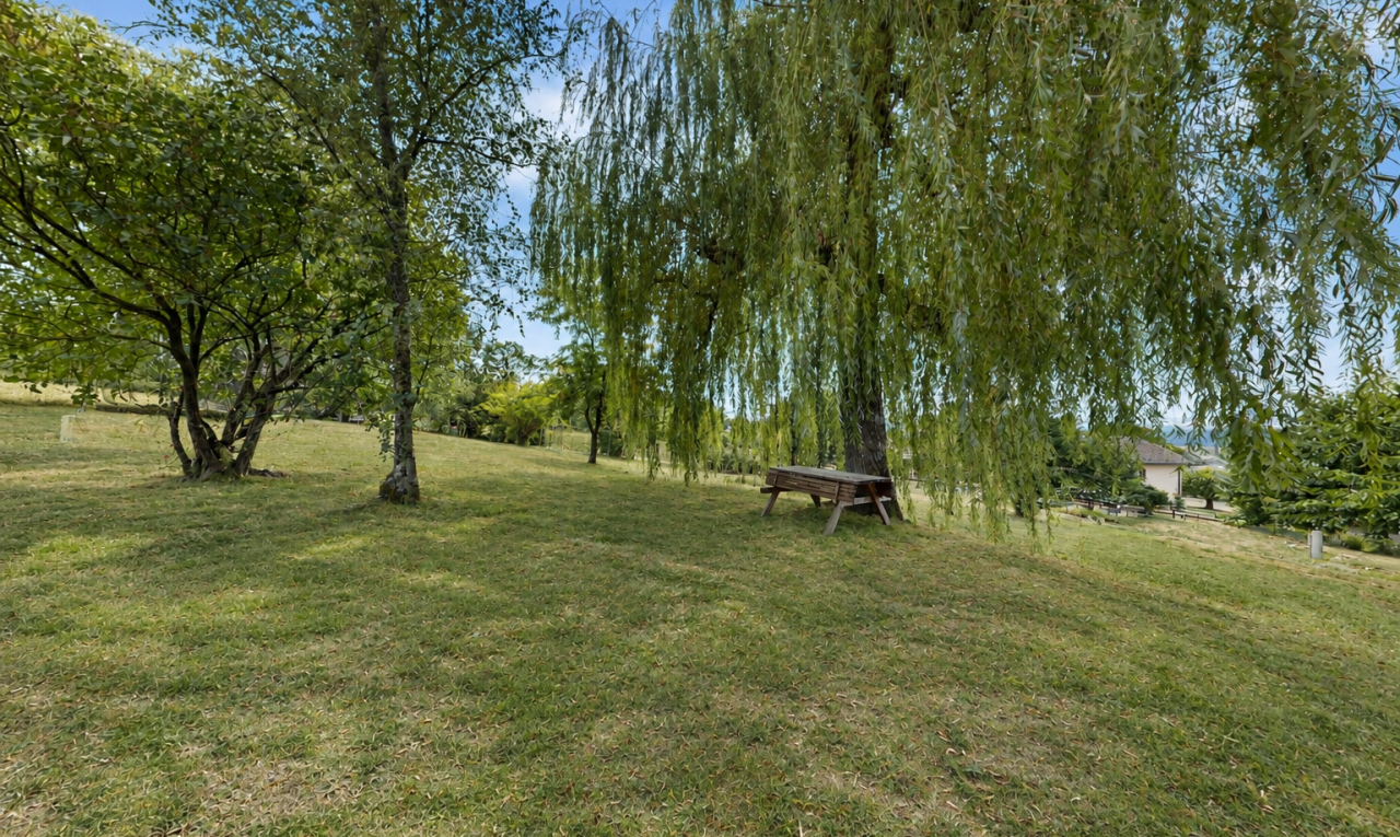 jardin avec pelouse et day time