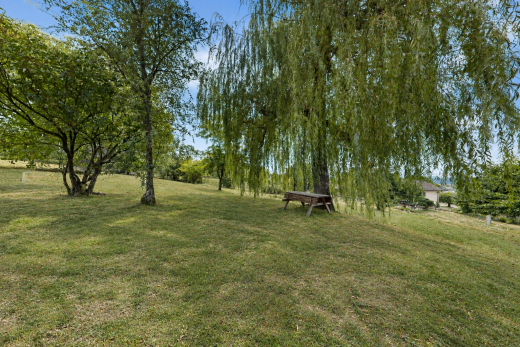 jardin avec pelouse et day time