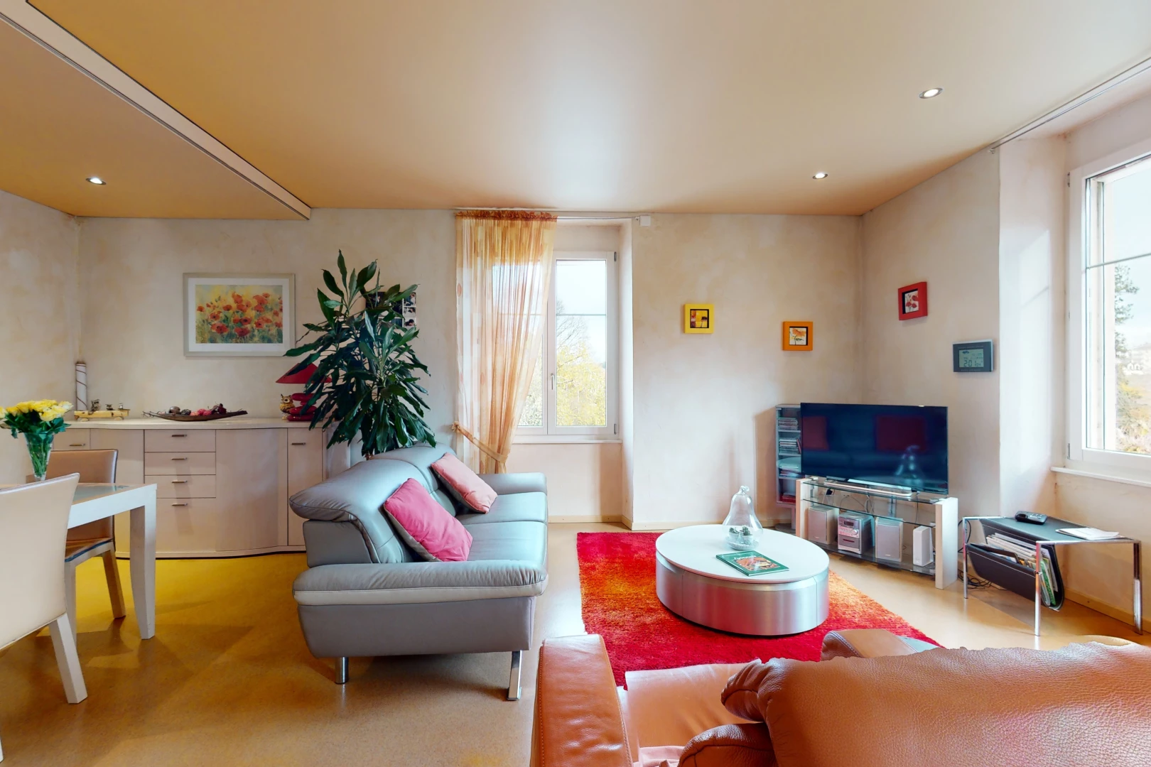 salon avec lumière naturelle, moquette, et télévision