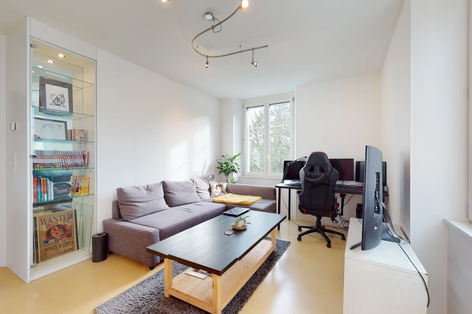 bureau avec lumière naturelle et télévision