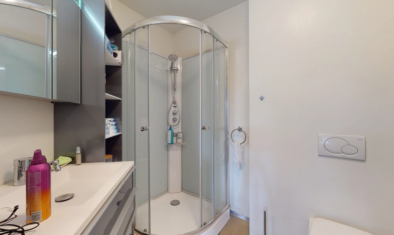 salle de bains avec porte de douche, vasque, meuble-lavabo, douche, toilettes, et miroir