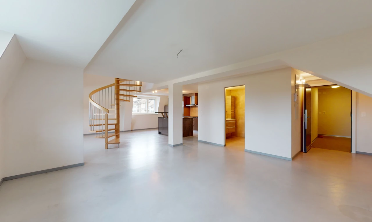 salon avec lumière naturelle et plafond voûté