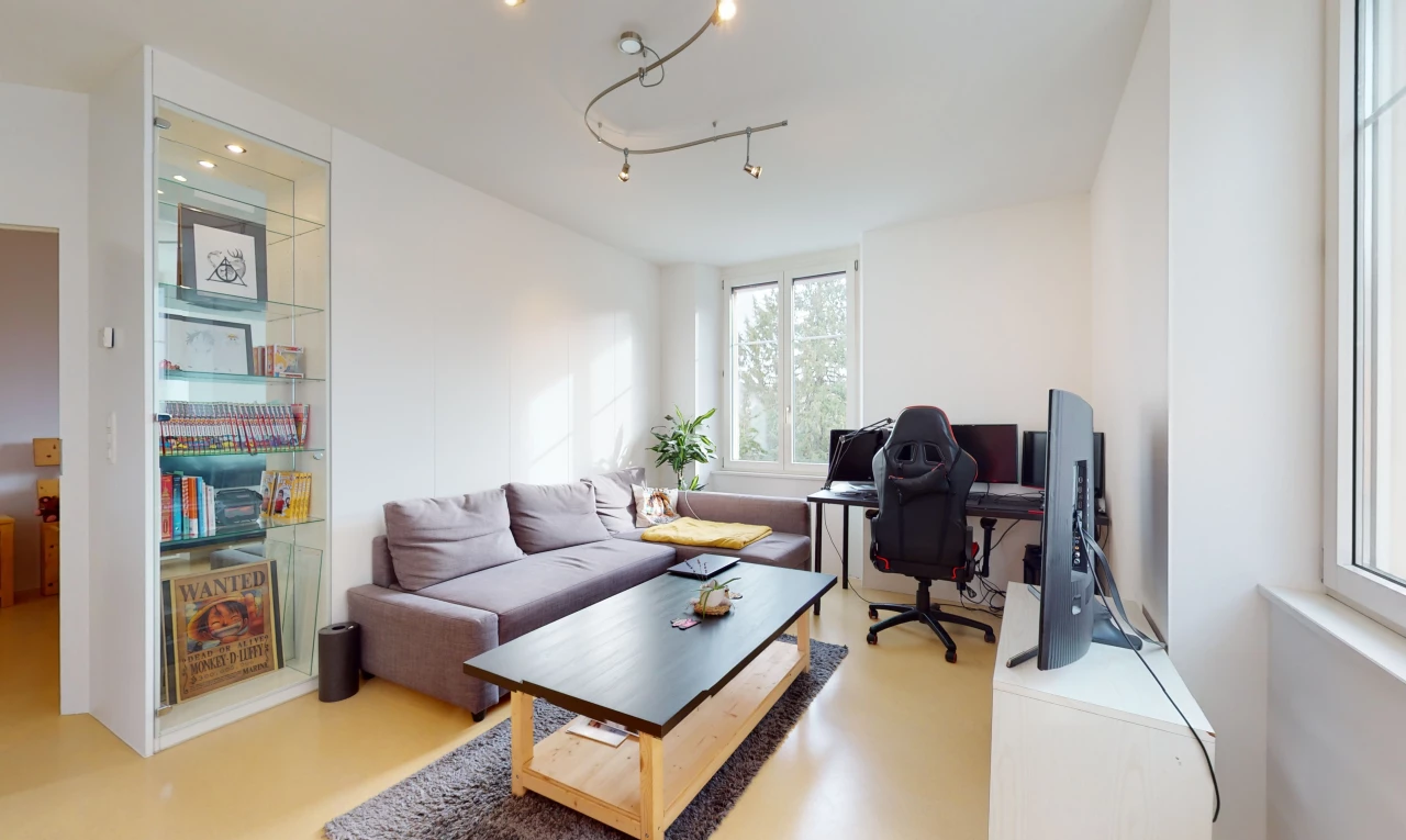 bureau avec lumière naturelle et télévision