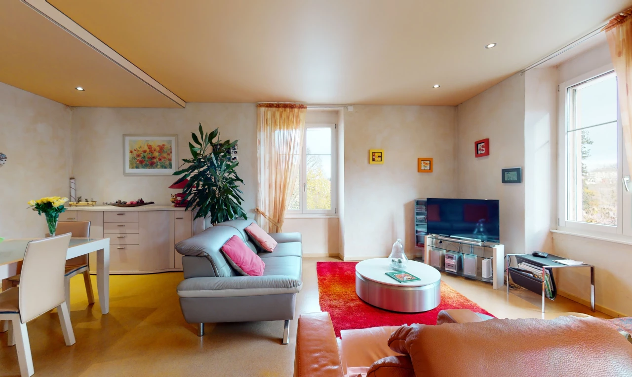 salon avec lumière naturelle, moquette, et télévision