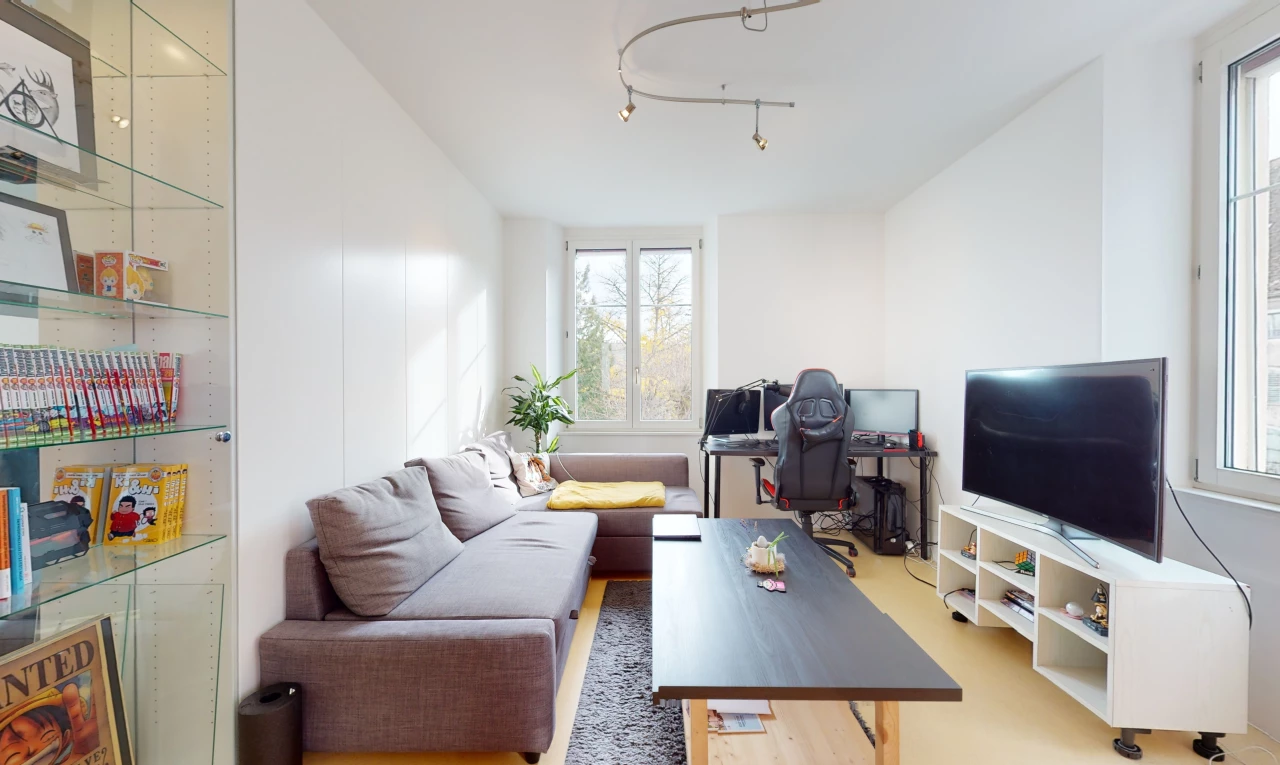 salon avec lumière naturelle et télévision