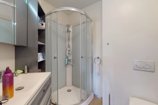 salle de bains avec porte de douche, vasque, meuble-lavabo, douche, toilettes, et miroir