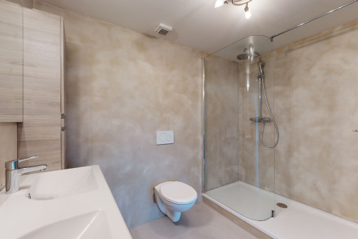 badezimmer mit dusche, spiegel, dual bowl eitelkeit und toilette