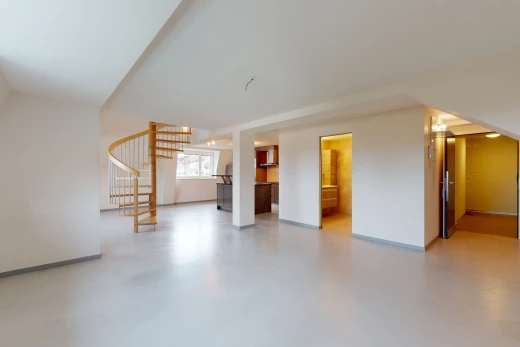 salon avec lumière naturelle et plafond voûté