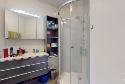 salle de bains avec porte de douche, meuble-lavabo, vasque, douche, et miroir
