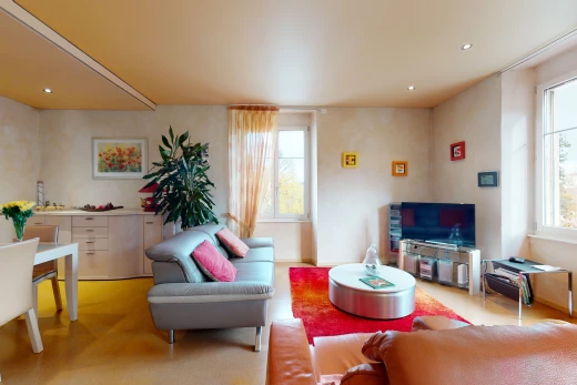 salon avec lumière naturelle, moquette, et télévision