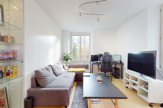 salon avec lumière naturelle et télévision