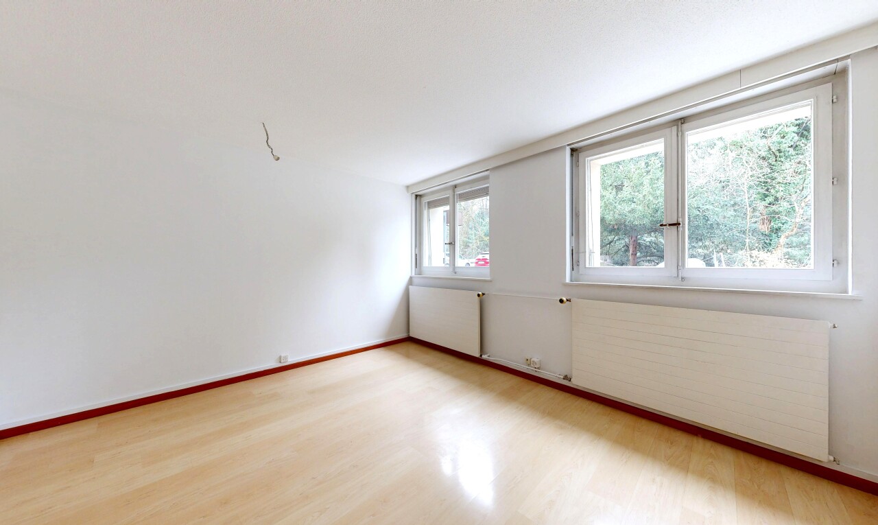 pièce vide avec sol en finition bois, wood finish floor, lumière naturelle, natural light, et cloison sèche