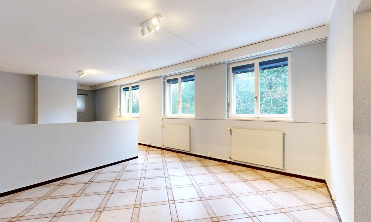 pièce vide avec lumière naturelle, natural light, radiateur, cloison sèche, et drywall