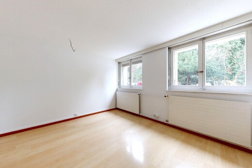 pièce vide avec sol en finition bois, wood finish floor, lumière naturelle, natural light, et cloison sèche