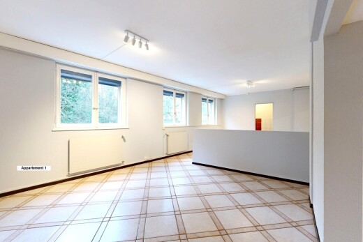 pièce vide avec lumière naturelle, natural light, cloison sèche, drywall, et inside property