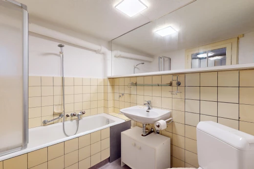 salle de bain avec miroir, vasque, toilettes, et mur carrelé