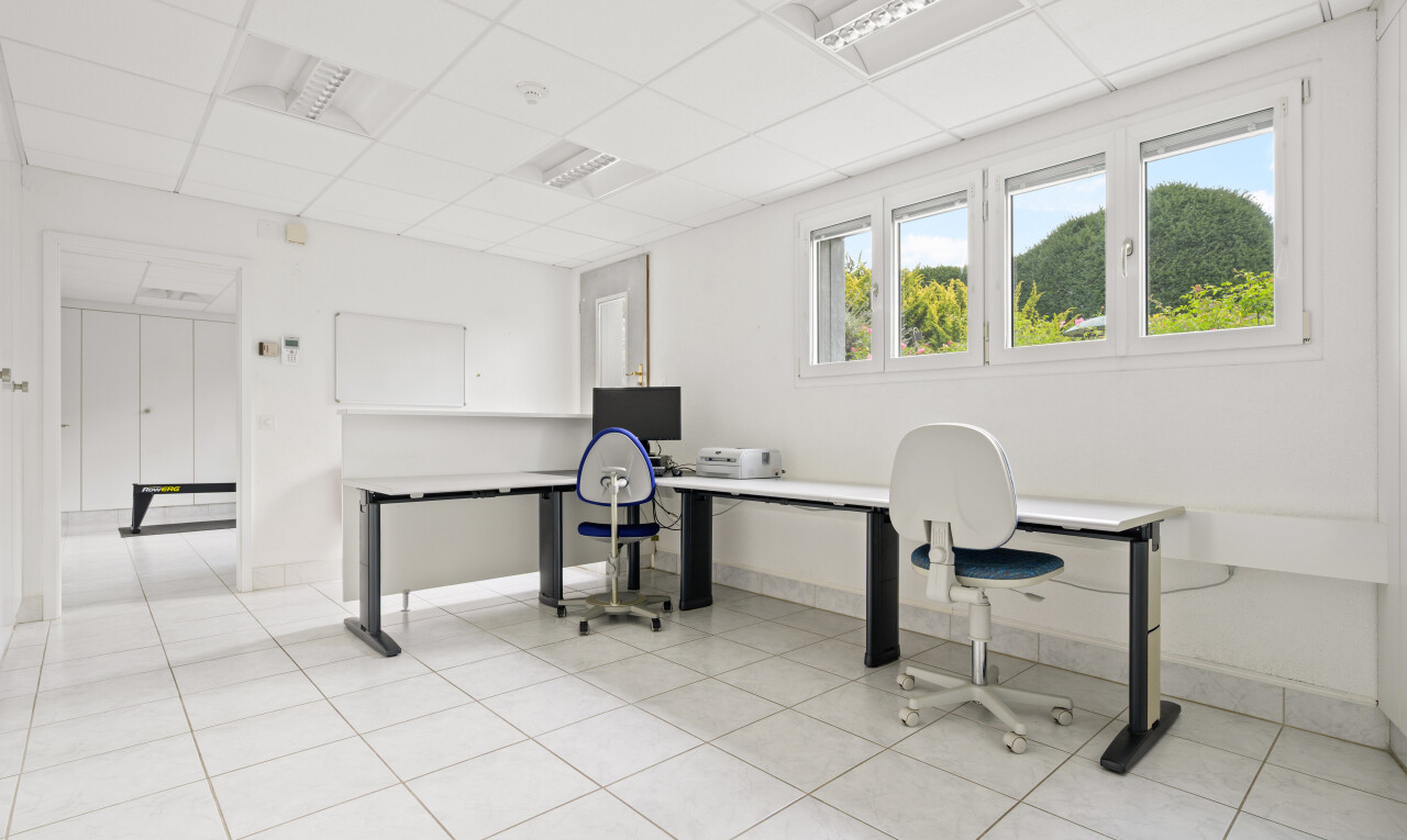 büro mit natural light, natürliches licht, drop ceiling, abgehängte decke, und drywall