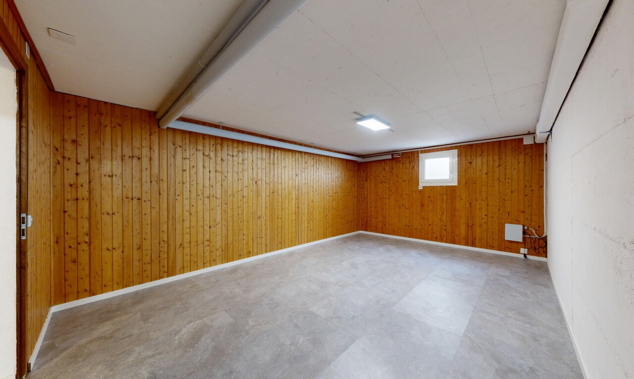 pièce vide avec sous-sol, inside property, plafond bas, low ceiling, et lumière naturelle