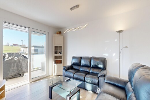 living area featuring light wood-style floors