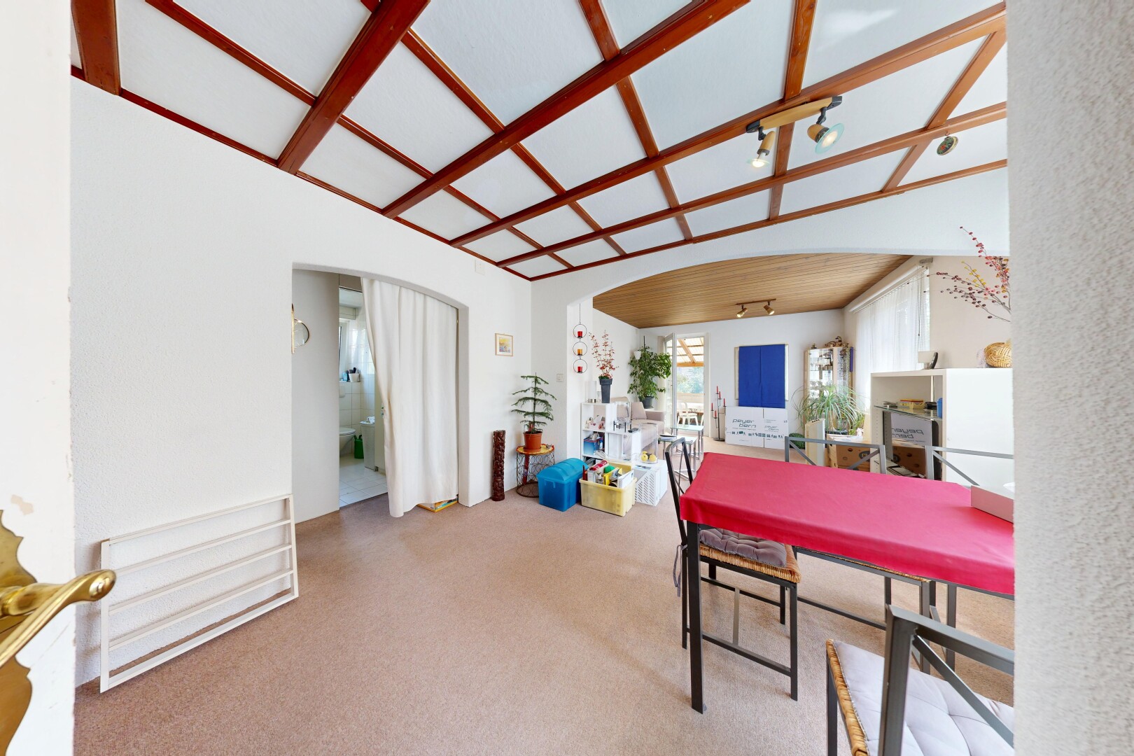 esszimmer mit deckenbeleuchtung, gewölbte gehwege, inside property, carpet, und teppich